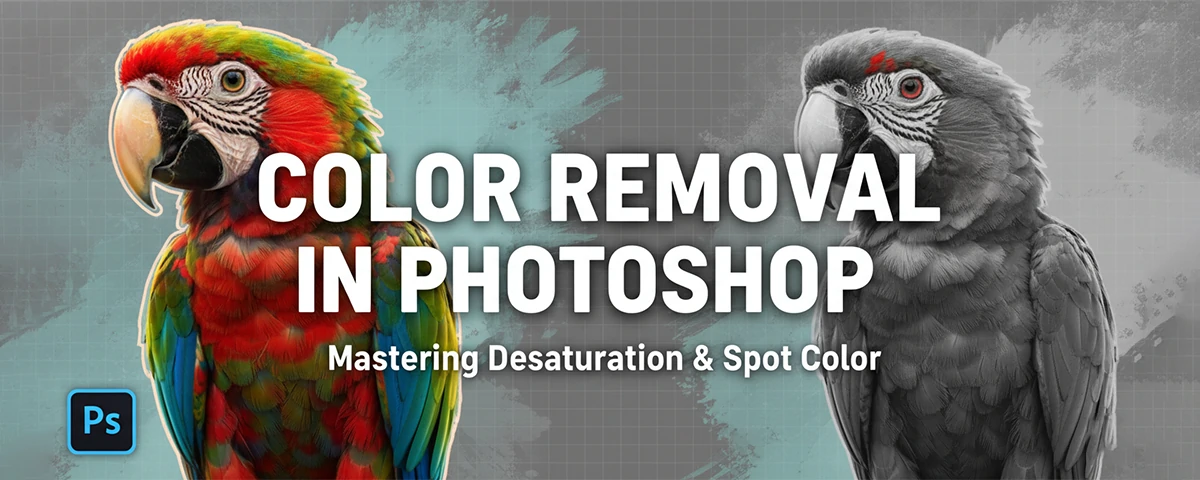 Color Removal in Photoshop