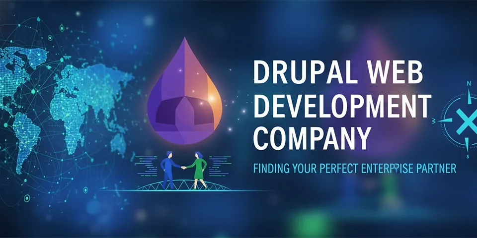 Drupal Web Development Company Finding Your Perfect Enterprise Partner
